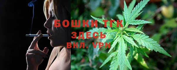 apvp Бородино