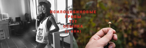 бутират Бугульма