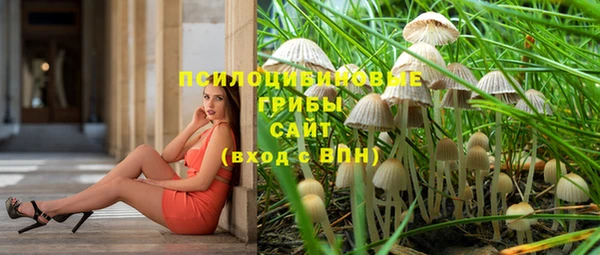 ешки Бронницы