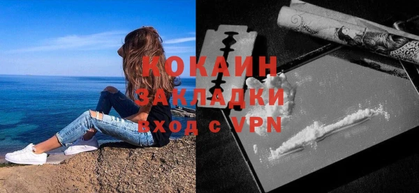 apvp Бородино